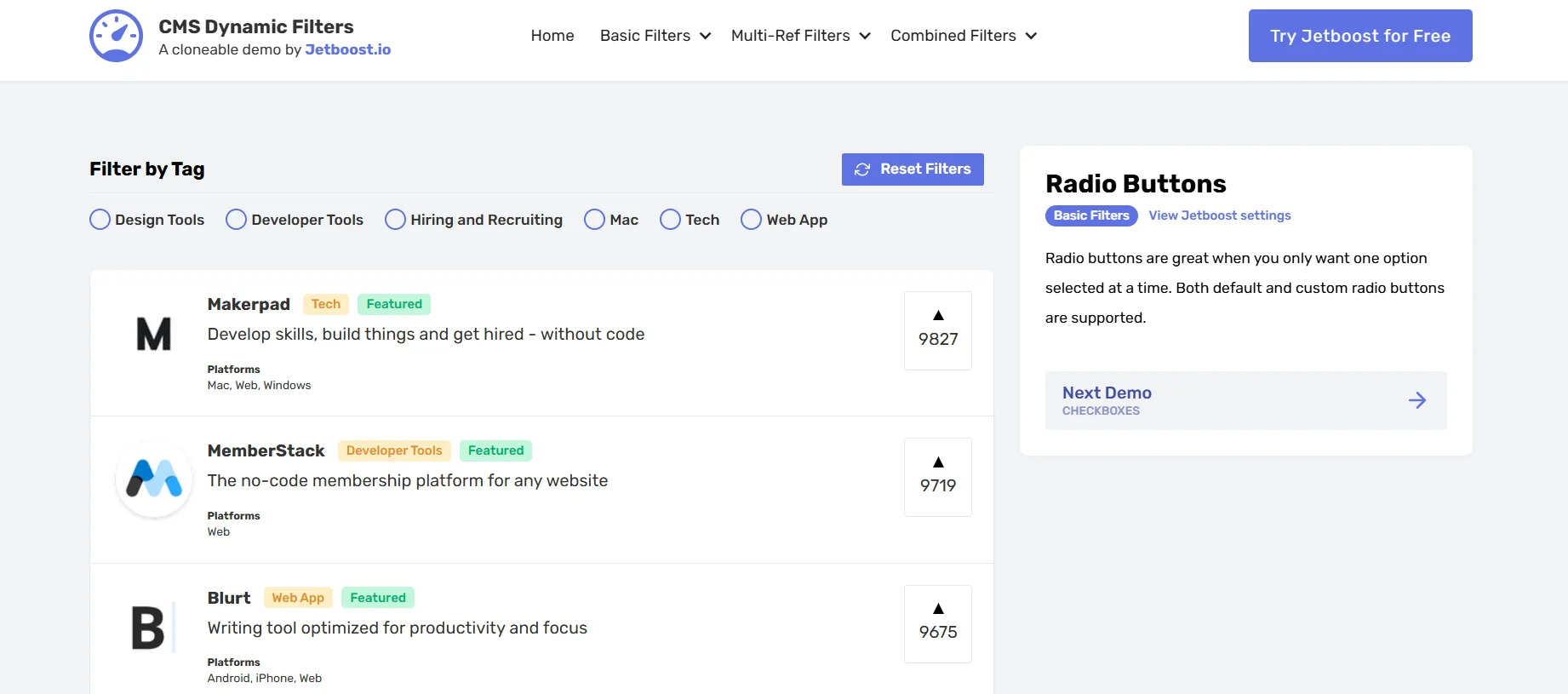 Screenshot showing Jetboost’s dynamic filtering feature with radio button options for tags