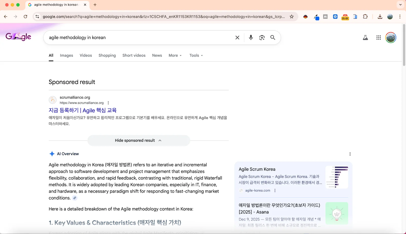 Google search results for "agile methodology in Korean".